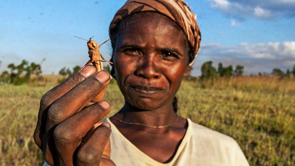 Madagaskar čelí „hororu jako z filmu“, lidé nemají co jíst